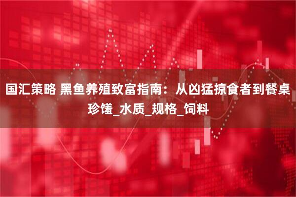 国汇策略 黑鱼养殖致富指南：从凶猛掠食者到餐桌珍馐_水质_规格_饲料