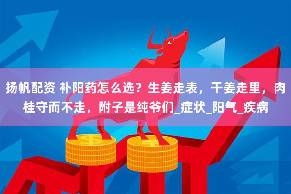 扬帆配资 补阳药怎么选？生姜走表，干姜走里，肉桂守而不走，附子是纯爷们_症状_阳气_疾病