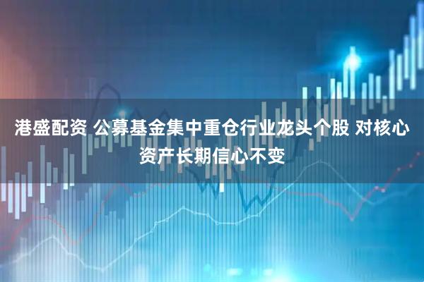港盛配资 公募基金集中重仓行业龙头个股 对核心资产长期信心不变